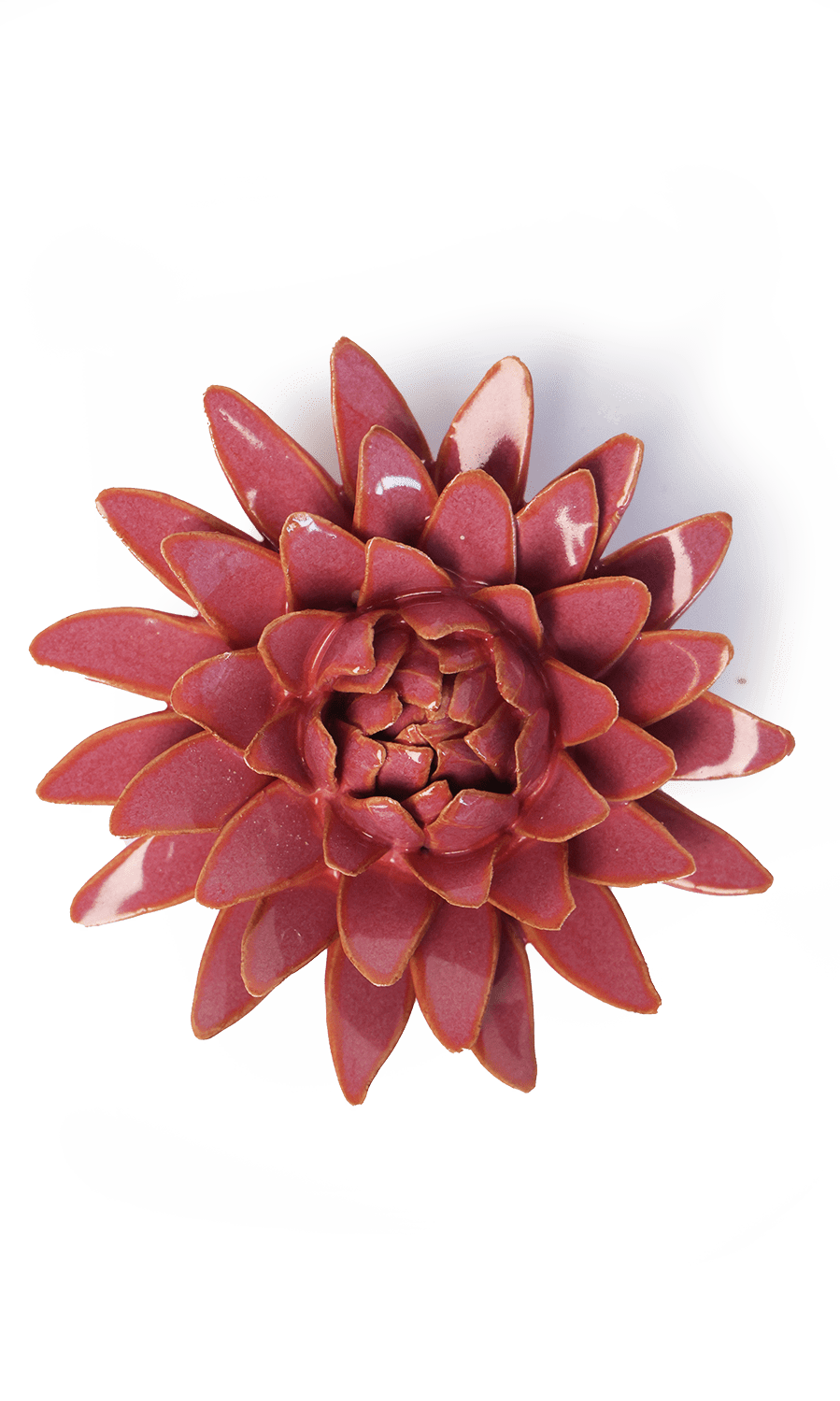 Blush Pink Strawflower ceramic wall flower — France collection — designed in Toronto by Chive Studio