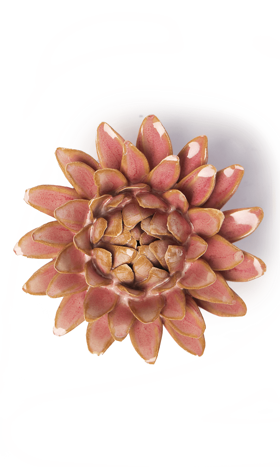Rose Quartz Strawflower ceramic wall flower — France collection — designed in Toronto by Chive Studio