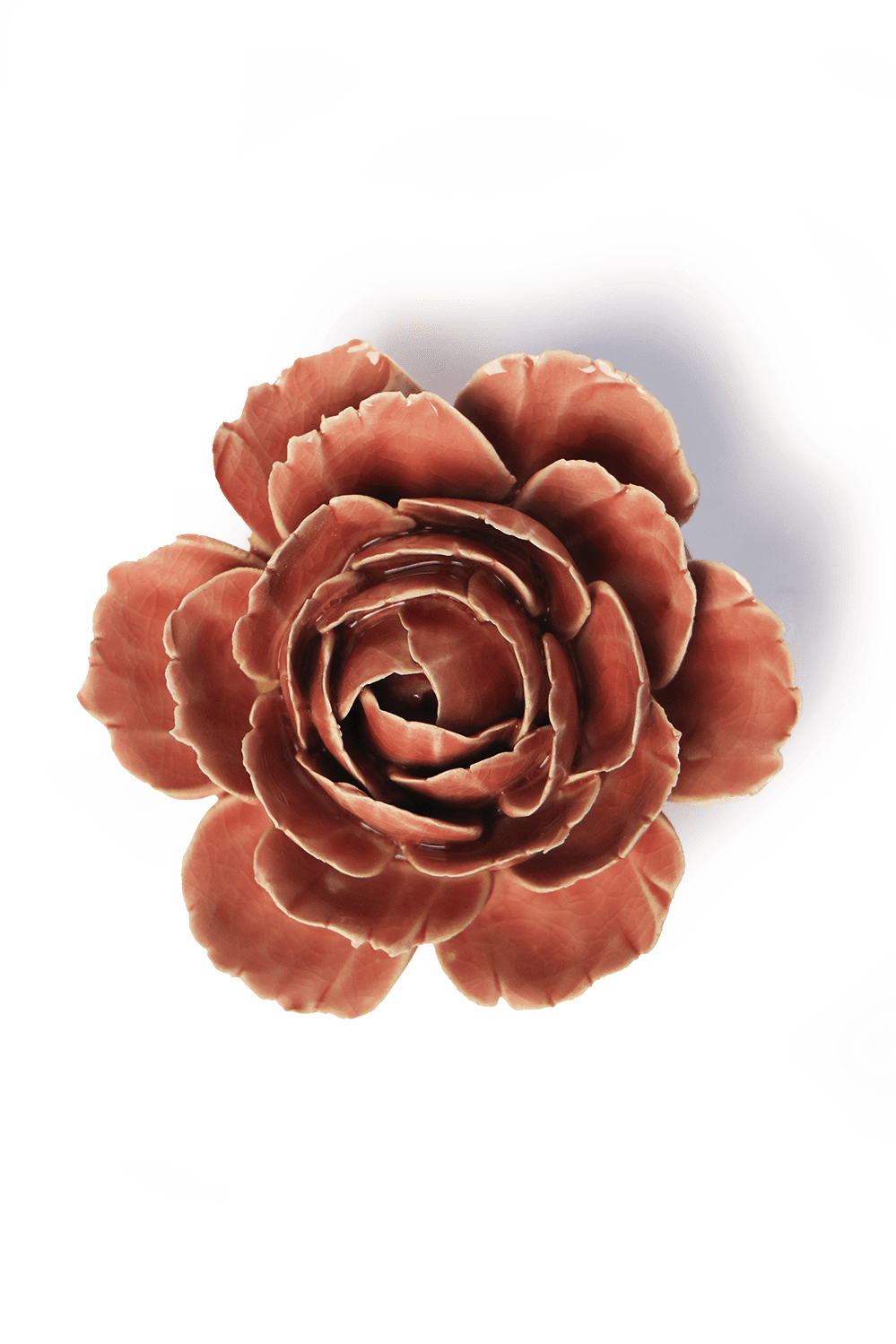 Champagne Pink Rose ceramic wall flower — France collection — designed in Toronto by Chive Studio