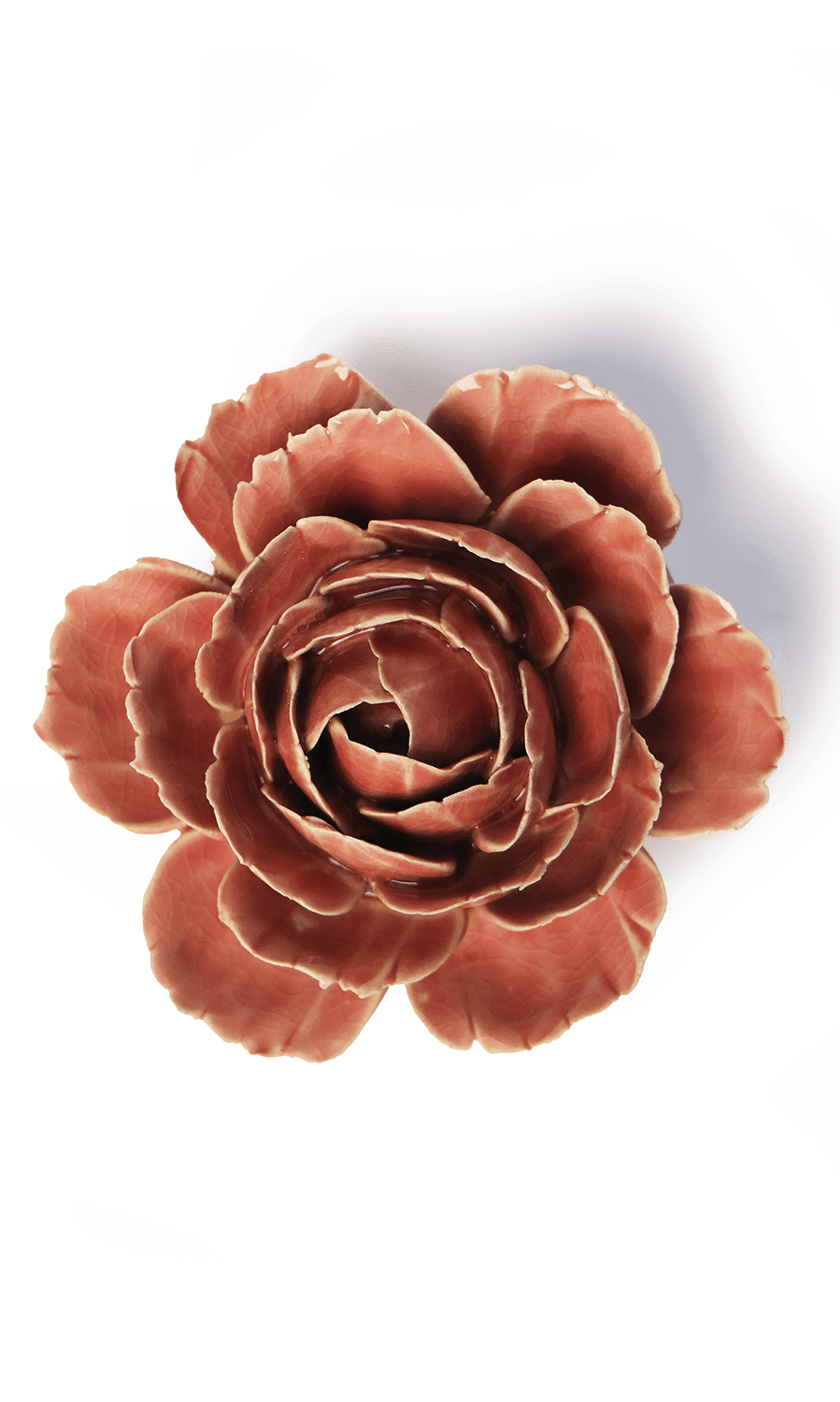 Champagne Pink Rose ceramic wall flower — France collection — designed in Toronto by Chive Studio