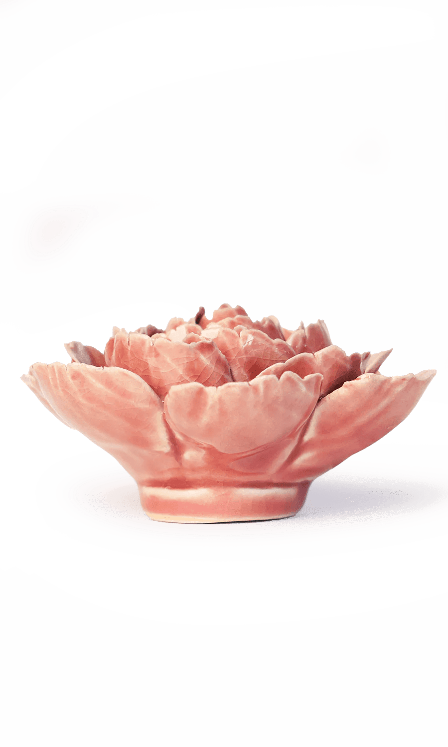 Champagne Pink English Rose - Chive Ceramics Studio - Ceramic Flowers - Chive Ceramics Studio