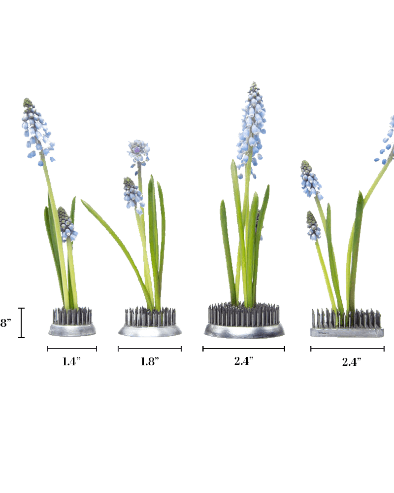 Kenzan Metal Floral Frogs For Ikebana - Chive Ceramics Studio - Tools & Accessories - Chive Ceramics Studio