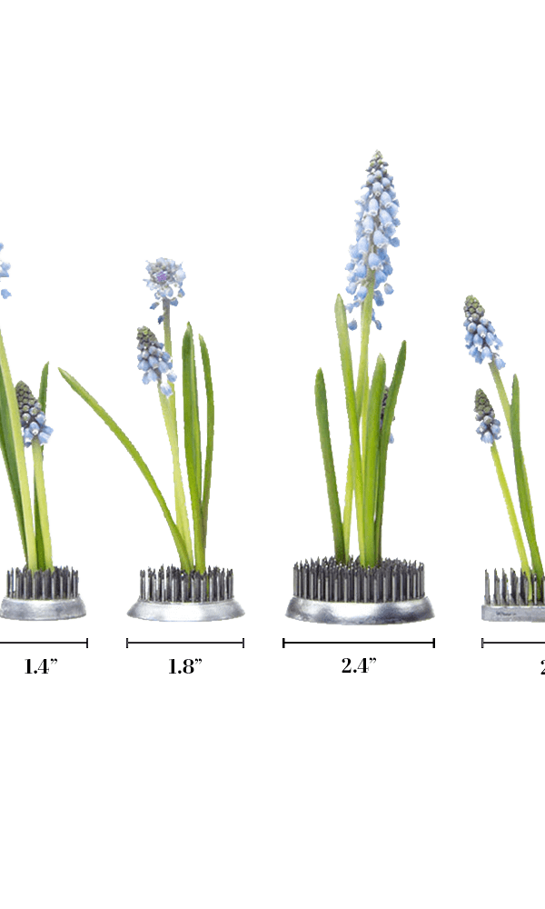 Kenzan Metal Floral Frogs For Ikebana - Chive Ceramics Studio - Tools & Accessories - Chive Ceramics Studio