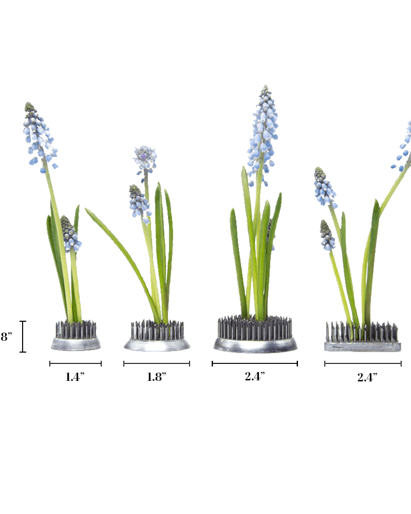 Kenzan Metal Floral Frogs For Ikebana - Chive Ceramics Studio - Tools & Accessories - Chive Ceramics Studio