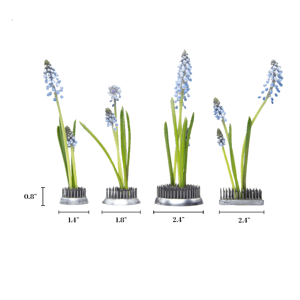 Kenzan Metal Floral Frogs For Ikebana - Chive Ceramics Studio - Tools & Accessories - Chive Ceramics Studio