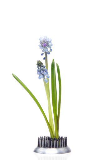 Image description
