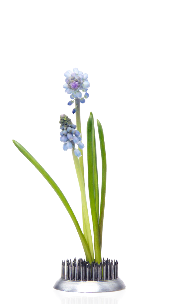 Image description