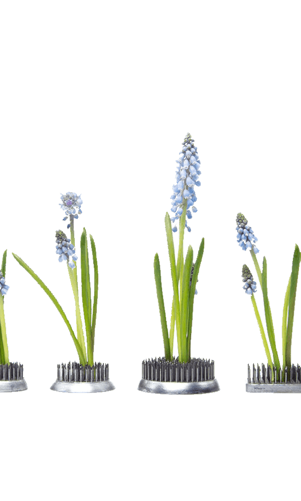 Kenzan Metal Floral Frogs For Ikebana - Chive Ceramics Studio - Tools & Accessories - Chive Ceramics Studio