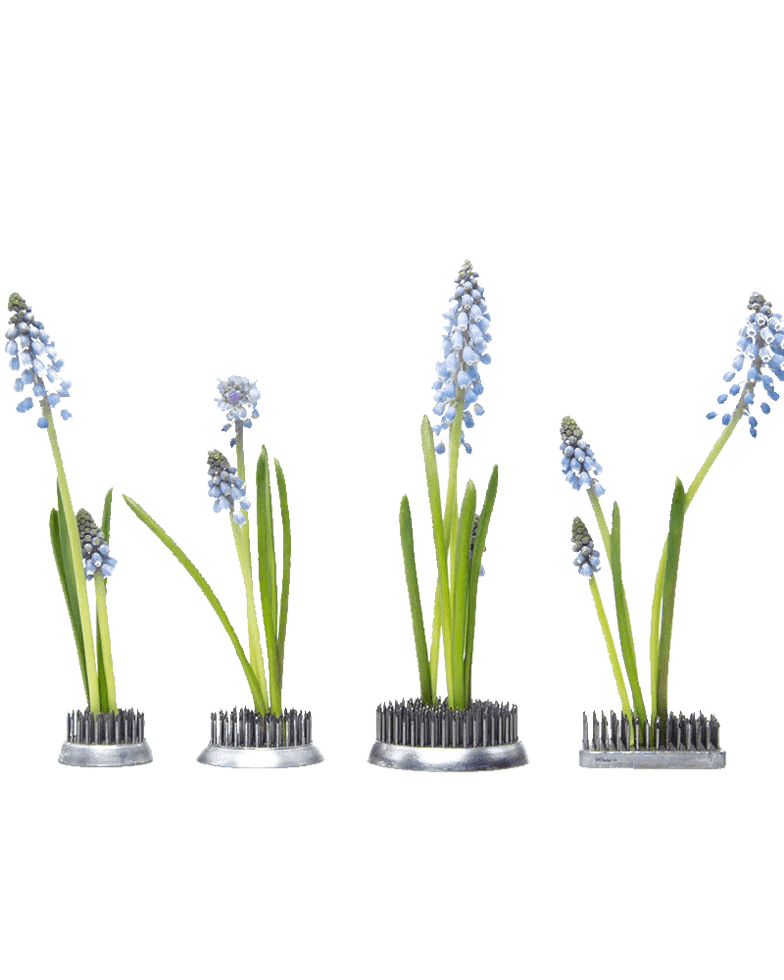 Kenzan Metal Floral Frogs For Ikebana - Chive Ceramics Studio - Tools & Accessories - Chive Ceramics Studio