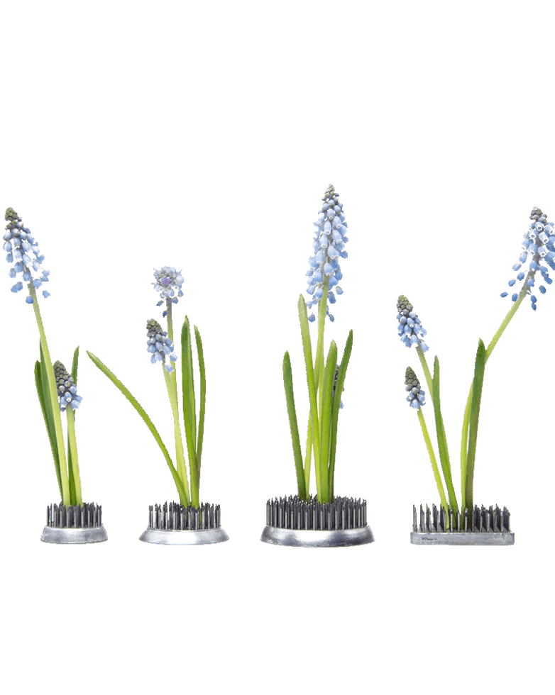 Kenzan Metal Floral Frogs For Ikebana - Chive Ceramics Studio - Tools & Accessories - Chive Ceramics Studio