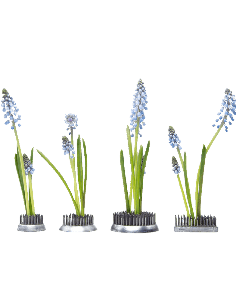 Kenzan Metal Floral Frogs For Ikebana - Chive Ceramics Studio - Tools & Accessories - Chive Ceramics Studio