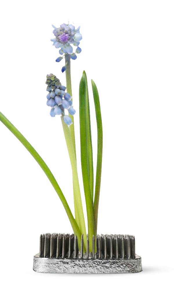 Image description