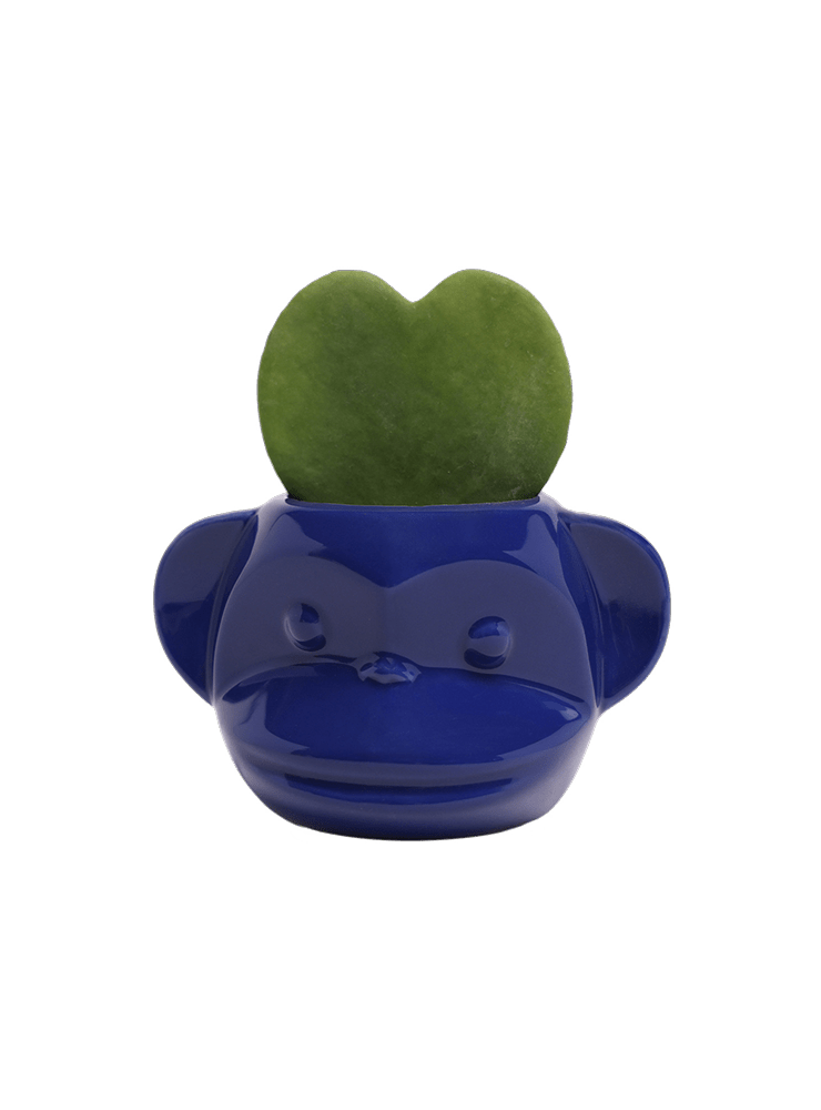 Funky Monkey Planter - Chive Ceramics Studio - Pots - Chive Ceramics Studio