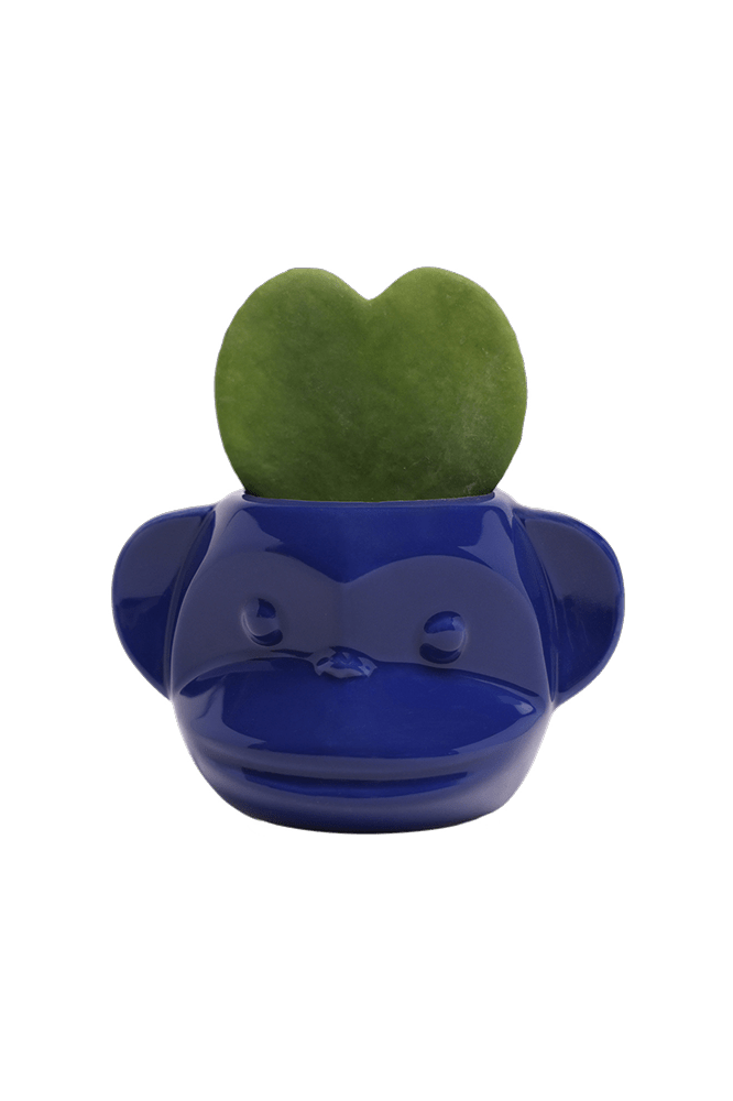 Funky Monkey Planter - Chive Ceramics Studio - Pots - Chive Ceramics Studio