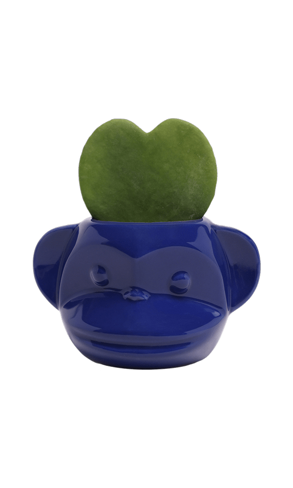 Funky Monkey Planter - Chive Ceramics Studio - Pots - Chive Ceramics Studio