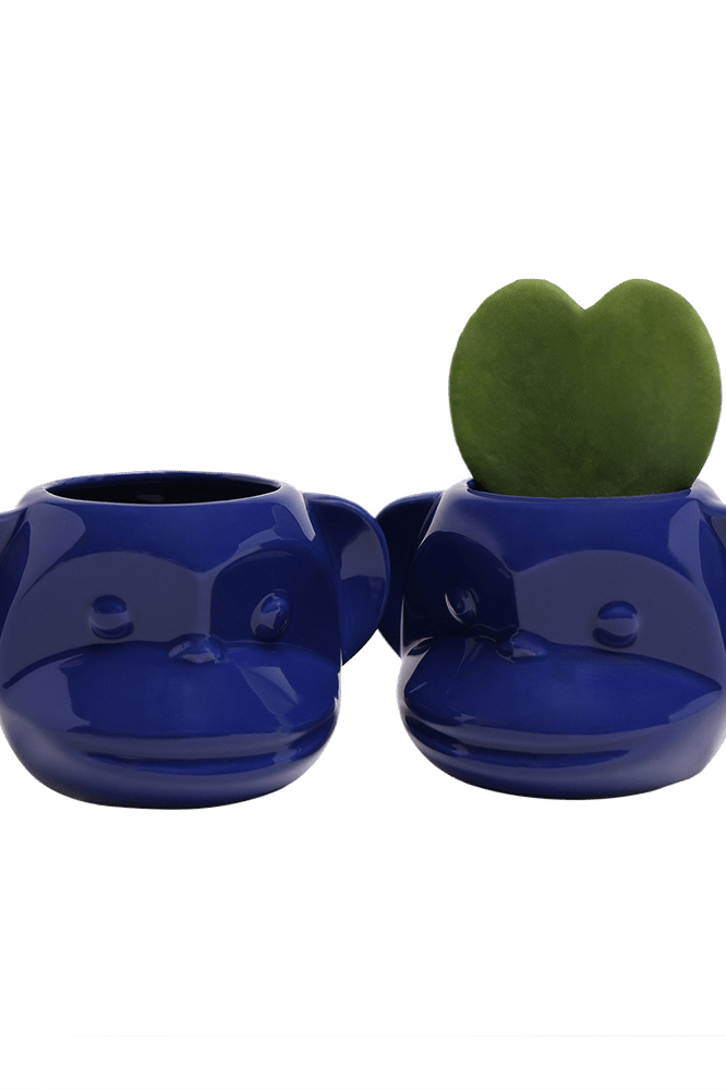 Funky Monkey Planter - Chive Ceramics Studio - Pots - Chive Ceramics Studio