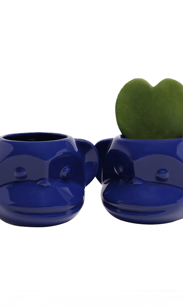 Funky Monkey Planter - Chive Ceramics Studio - Pots - Chive Ceramics Studio