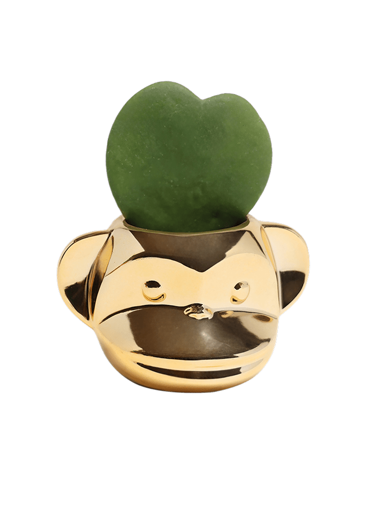 Funky Monkey Planter - Chive Ceramics Studio - Pots - Chive Ceramics Studio