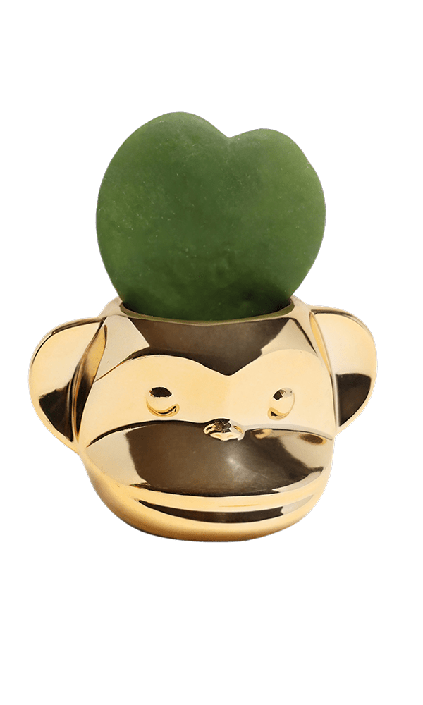 Funky Monkey Planter - Chive Ceramics Studio - Pots - Chive Ceramics Studio