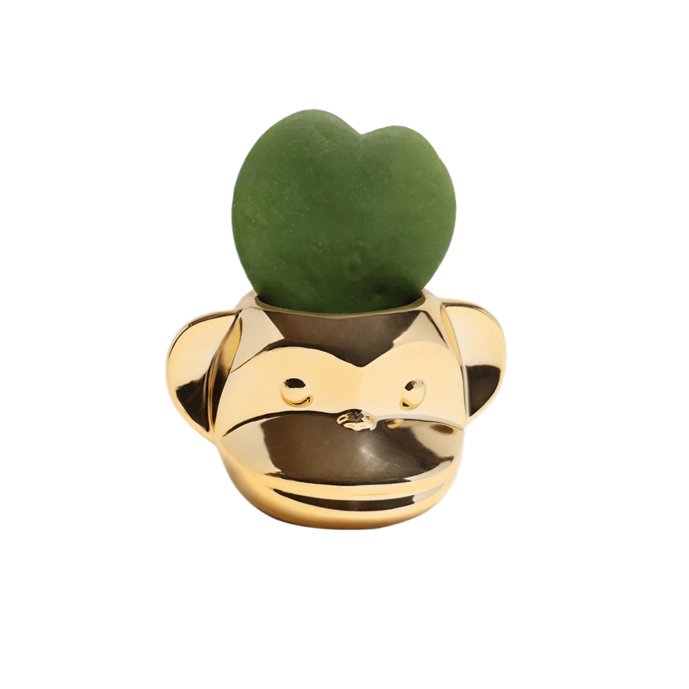 Funky Monkey Planter - Chive Ceramics Studio - Pots - Chive Ceramics Studio