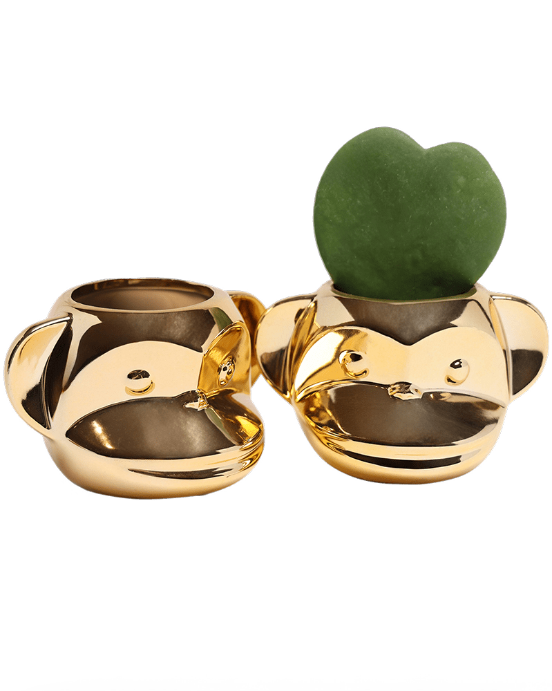 Funky Monkey Planter - Chive Ceramics Studio - Pots - Chive Ceramics Studio