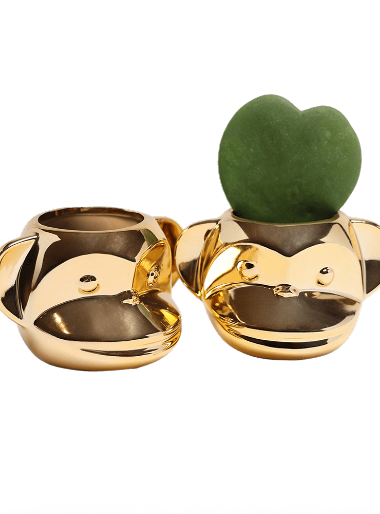 Funky Monkey Planter - Chive Ceramics Studio - Pots - Chive Ceramics Studio