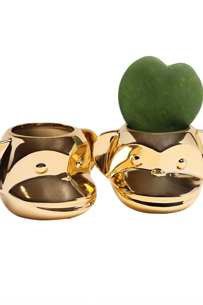 Funky Monkey Planter - Chive Ceramics Studio - Pots - Chive Ceramics Studio