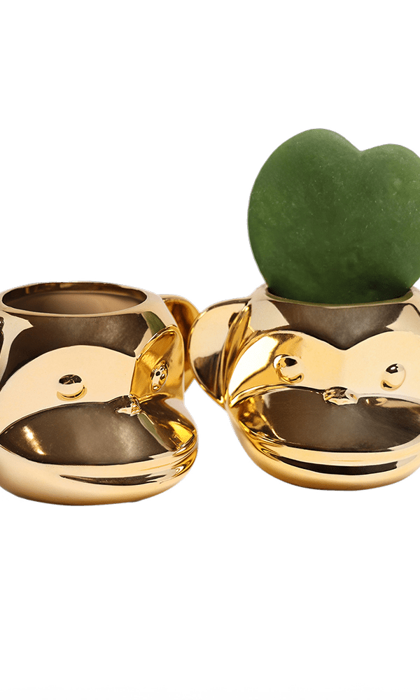 Funky Monkey Planter - Chive Ceramics Studio - Pots - Chive Ceramics Studio