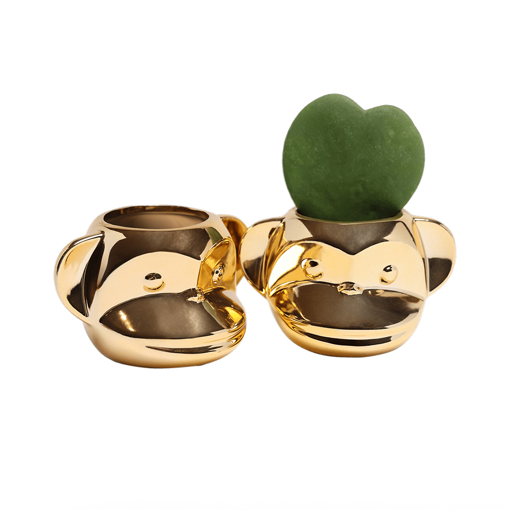 Funky Monkey Planter - Chive Ceramics Studio - Pots - Chive Ceramics Studio