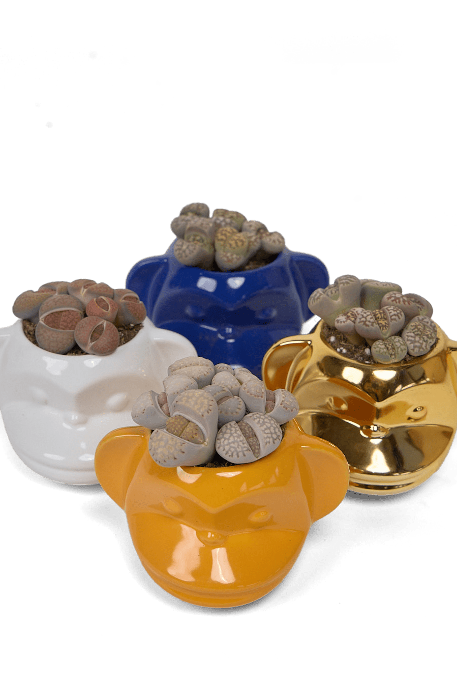 Funky Monkey Planter - Chive Ceramics Studio - Pots - Chive Ceramics Studio