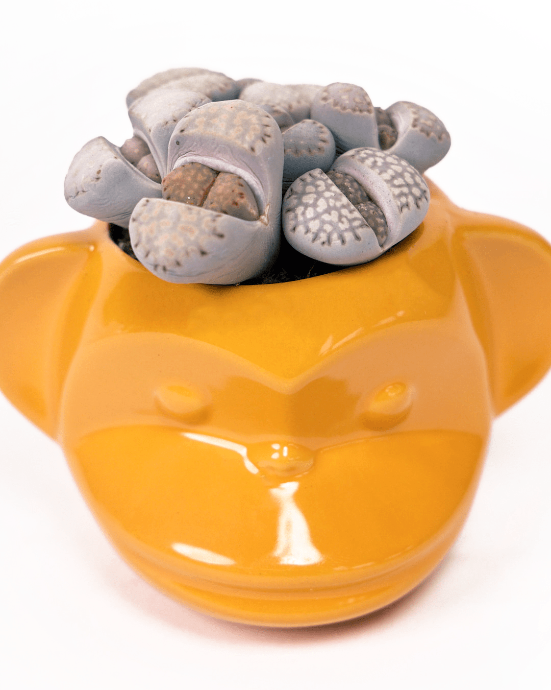 Funky Monkey Planter - Chive Ceramics Studio - Pots - Chive Ceramics Studio