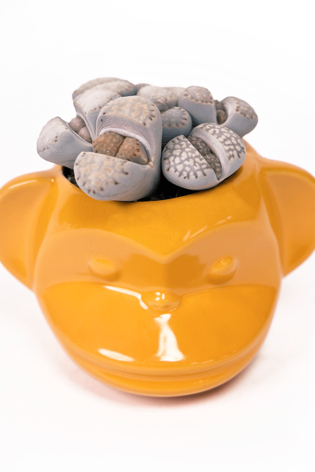 Funky Monkey Planter - Chive Ceramics Studio - Pots - Chive Ceramics Studio