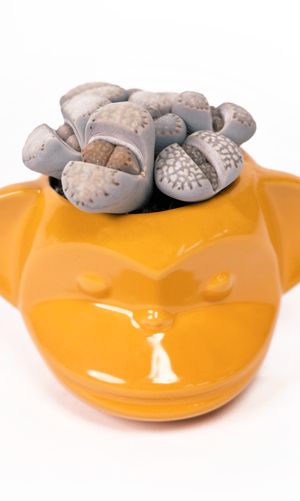Funky Monkey Planter - Chive Ceramics Studio - Pots - Chive Ceramics Studio