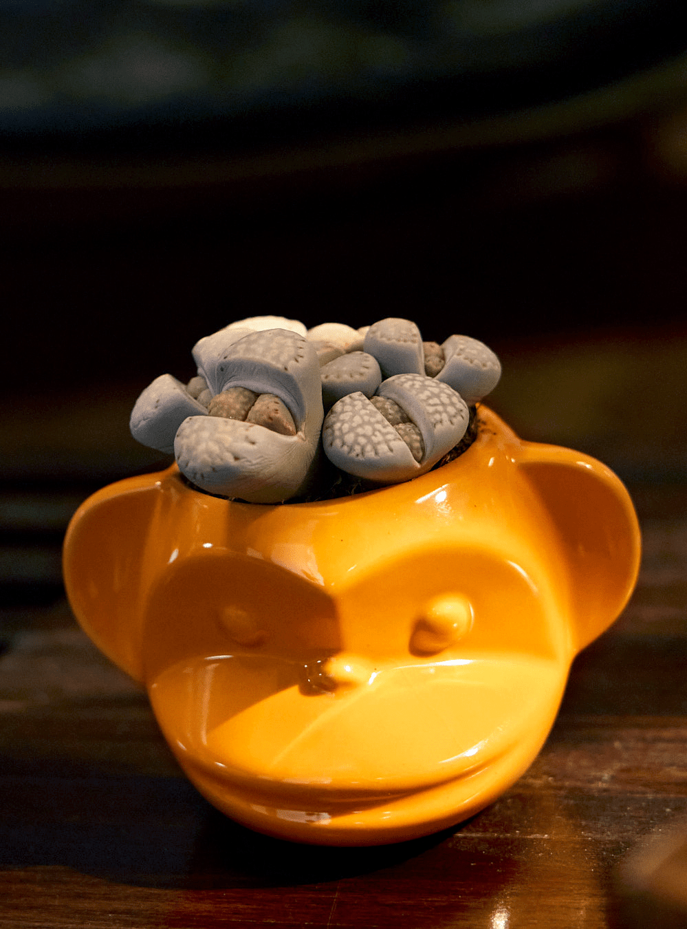 Funky Monkey Planter - Chive Ceramics Studio - Pots - Chive Ceramics Studio