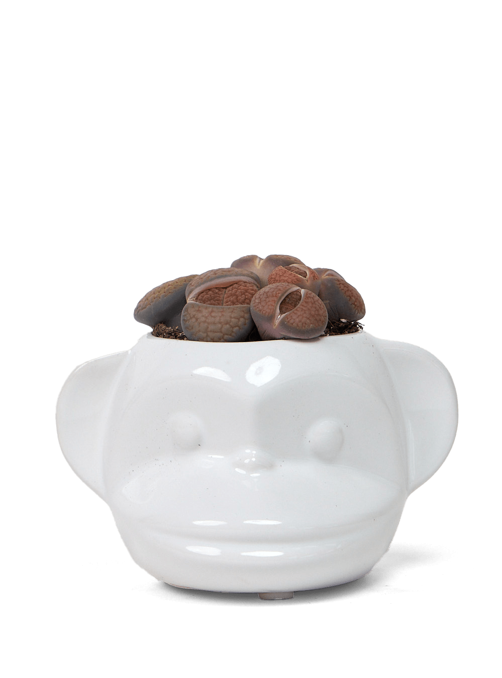 Funky Monkey Planter - Chive Ceramics Studio - Pots - Chive Ceramics Studio