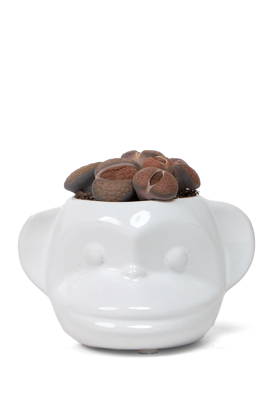 Funky Monkey Planter - Chive Ceramics Studio - Pots - Chive Ceramics Studio