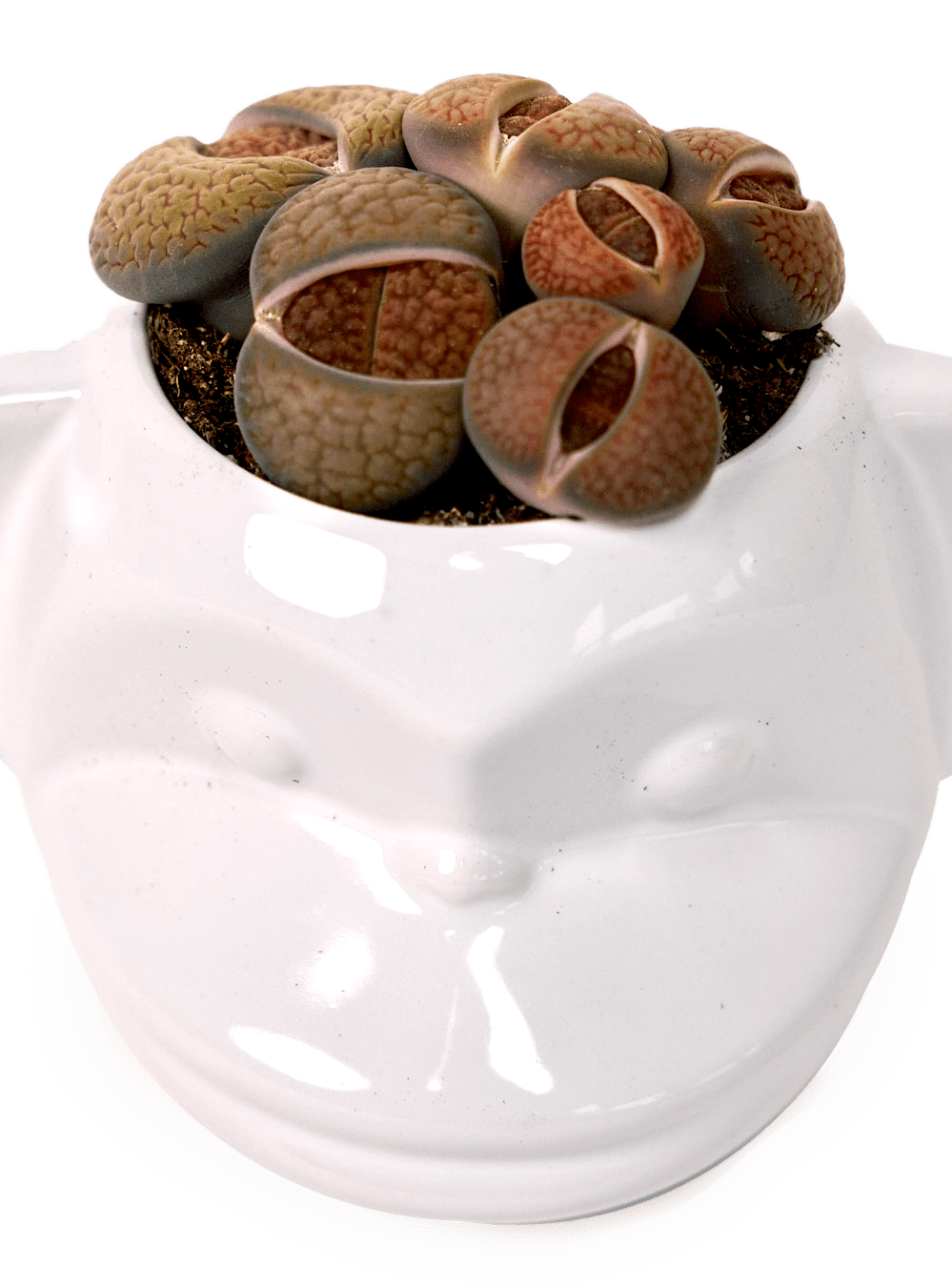 Funky Monkey Planter - Chive Ceramics Studio - Pots - Chive Ceramics Studio