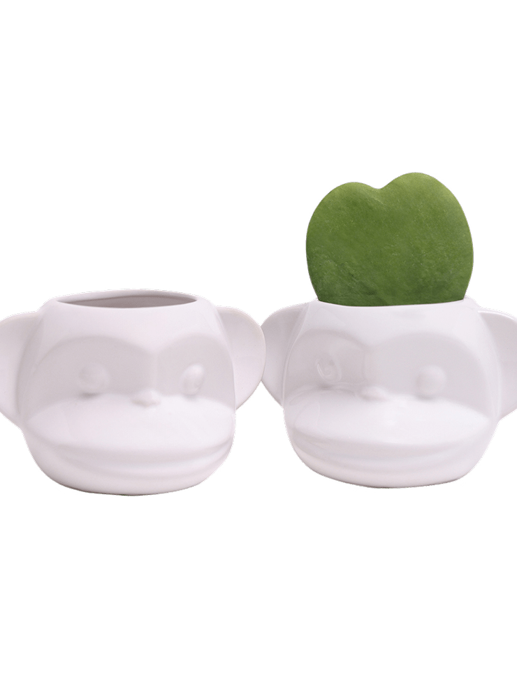 Funky Monkey Planter - Chive Ceramics Studio - Pots - Chive Ceramics Studio