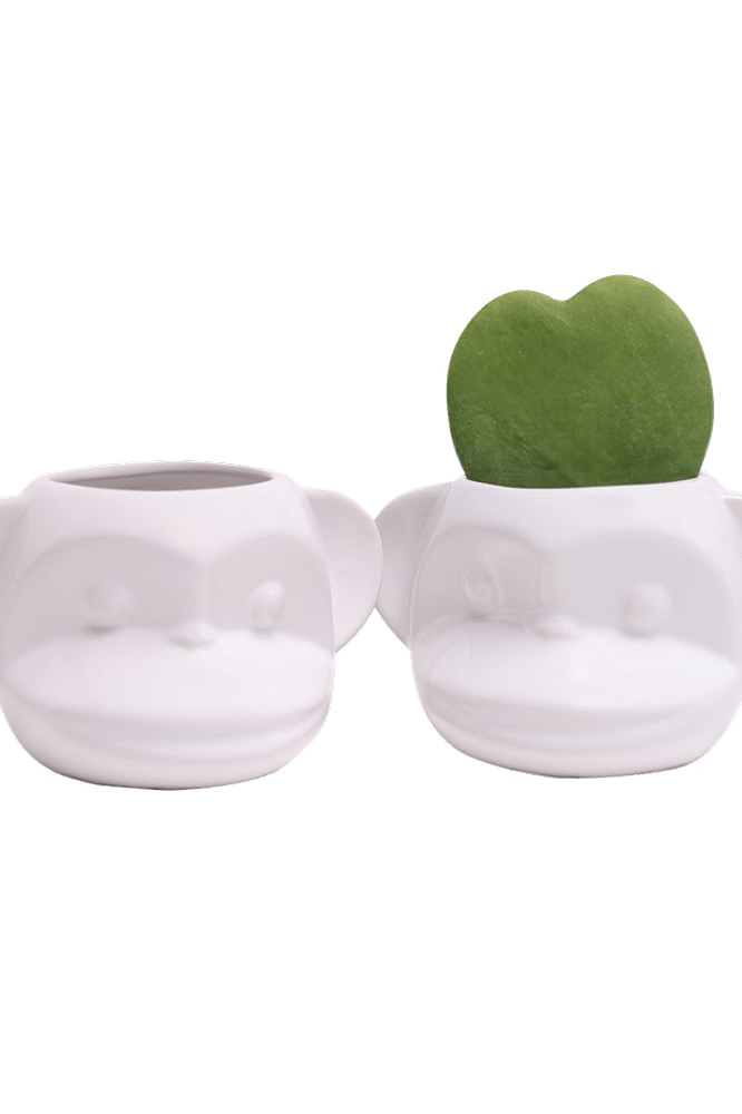 Funky Monkey Planter - Chive Ceramics Studio - Pots - Chive Ceramics Studio