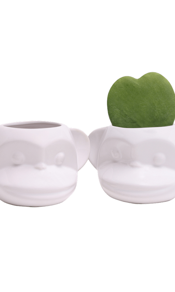 Funky Monkey Planter - Chive Ceramics Studio - Pots - Chive Ceramics Studio