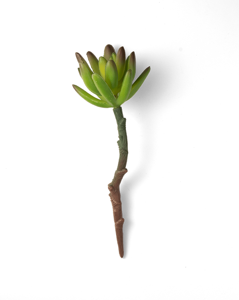 Premium Artificial Succulents - Lifelike Botanical Decor - Chive Ceramics Studio - Chive US Wholesale