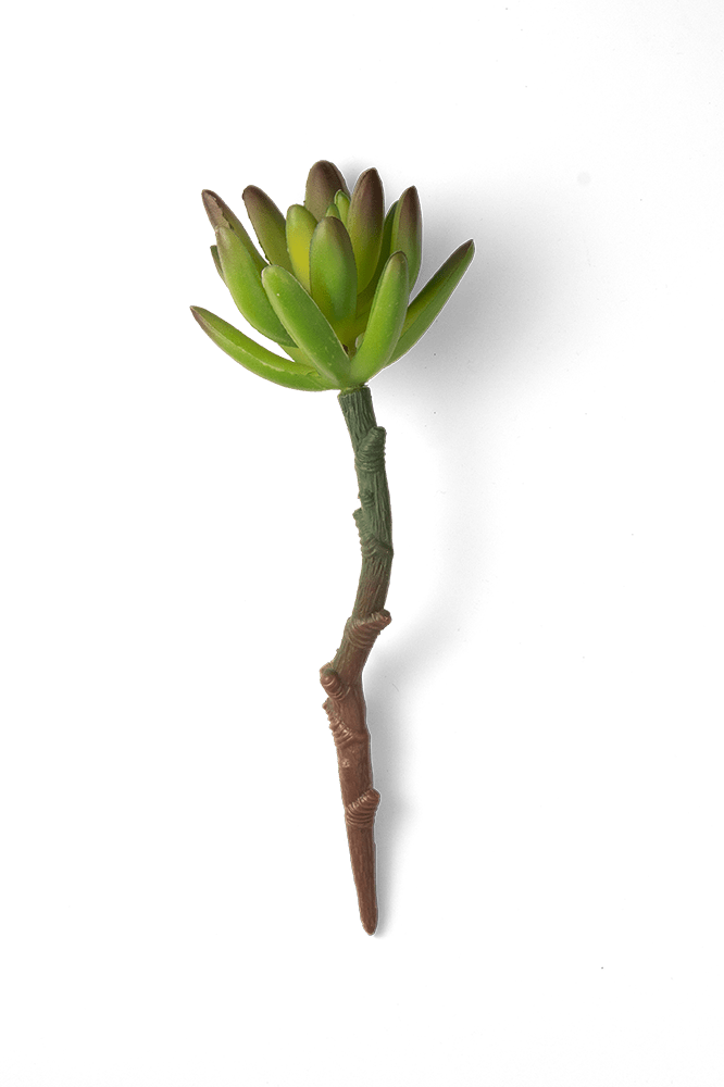 Premium Artificial Succulents - Lifelike Botanical Decor - Chive Ceramics Studio - Chive US Wholesale