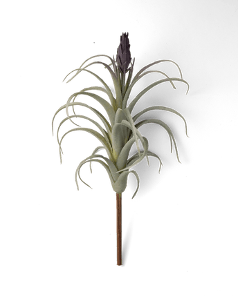 Air Plant Fake Lifelike Realistic Unkillable! - Chive Ceramics Studio - Tools & Accessories - Chive Wholesale