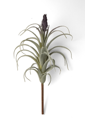 Air Plant Fake Lifelike Realistic Unkillable! - Chive Ceramics Studio - Tools & Accessories - Chive Wholesale