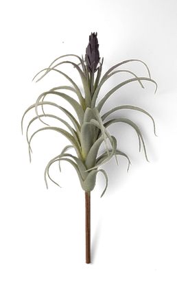Air Plant Fake Lifelike Realistic Unkillable! - Chive Ceramics Studio - Tools & Accessories - Chive Wholesale
