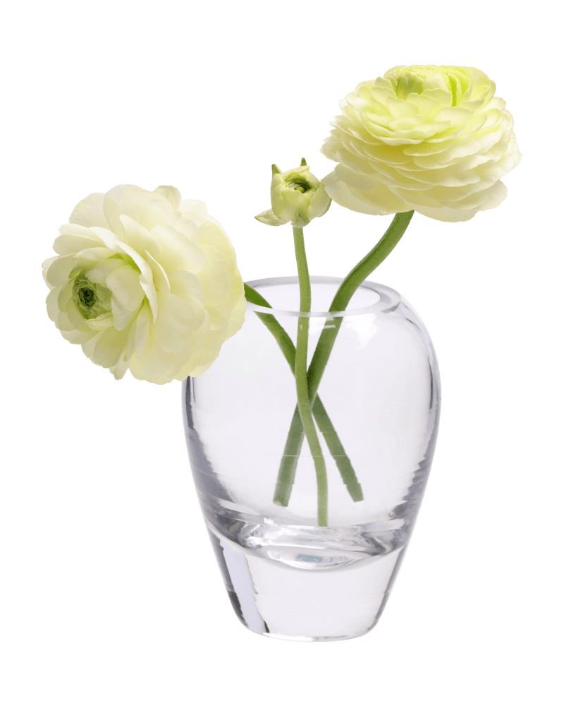 George Glass Clear Bud Vase For Flowers - Chive Studio