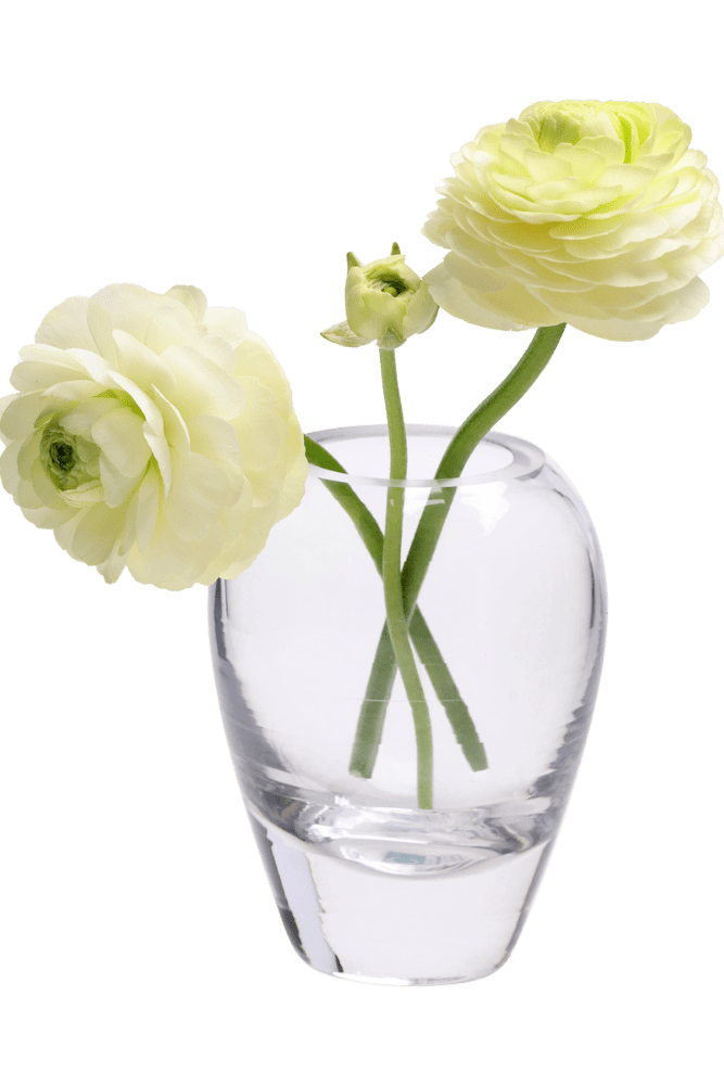 George Glass Clear Bud Vase For Flowers - Chive Ceramics Studio - Vases - Chive US