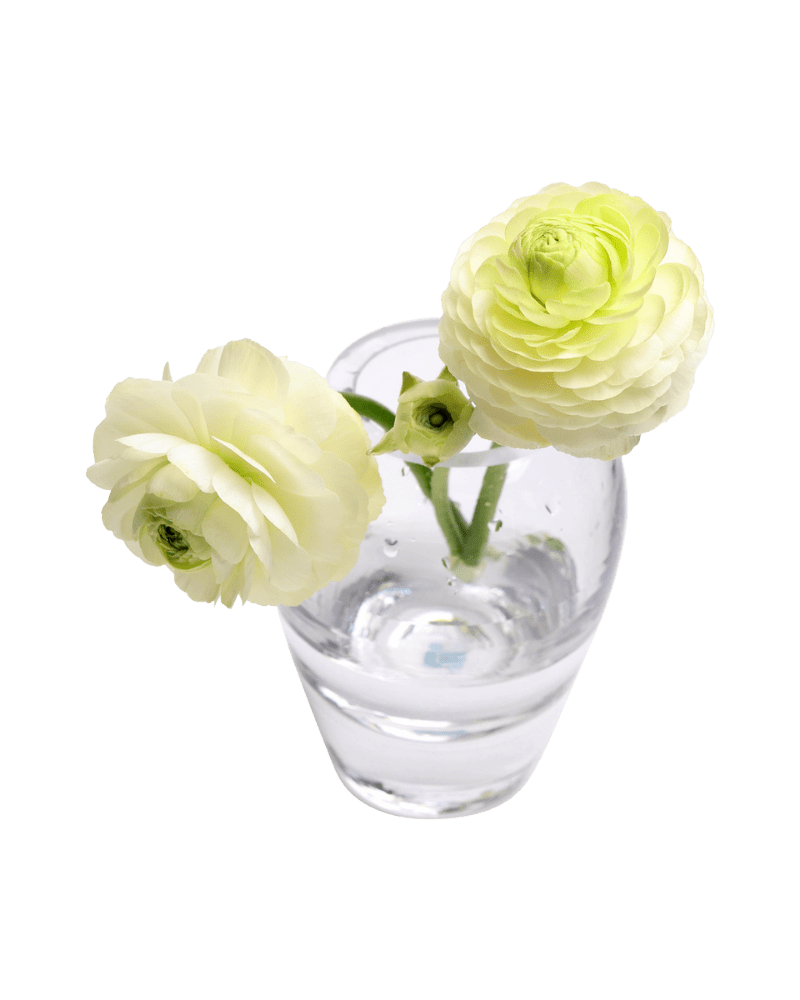 George Glass Clear Bud Vase For Flowers - Chive Studio