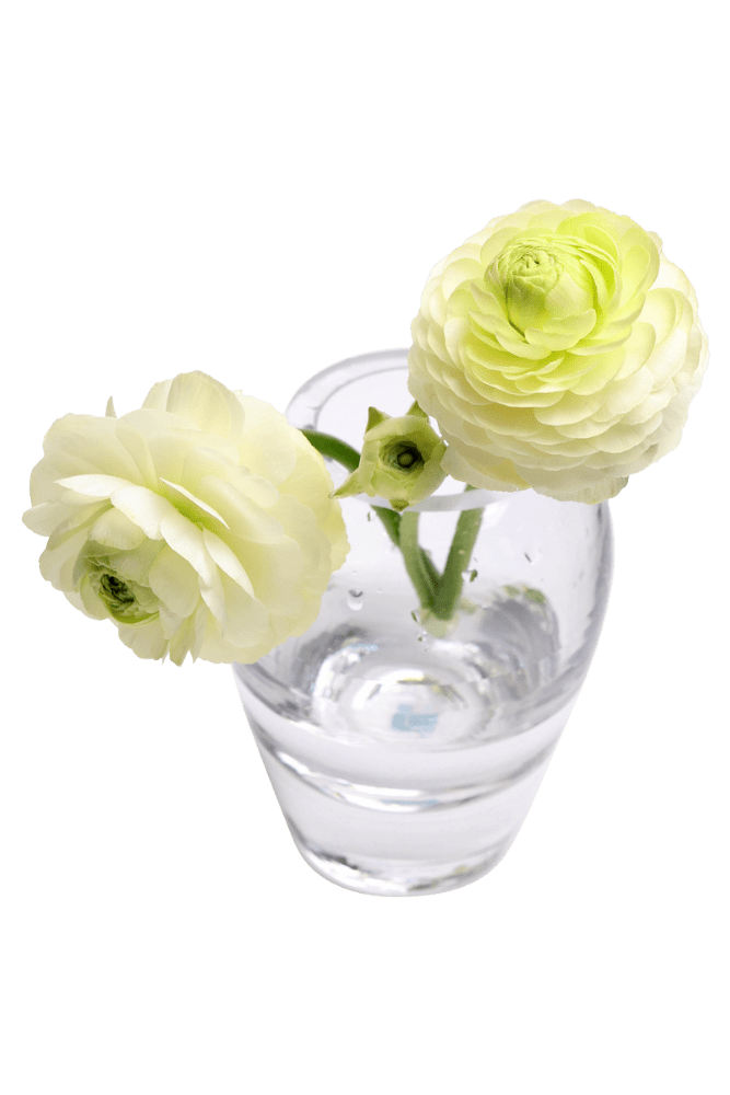 George Glass Clear Bud Vase For Flowers - Chive Ceramics Studio - Vases - Chive US