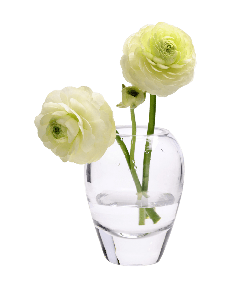 George Glass Clear Bud Vase For Flowers - Chive Studio